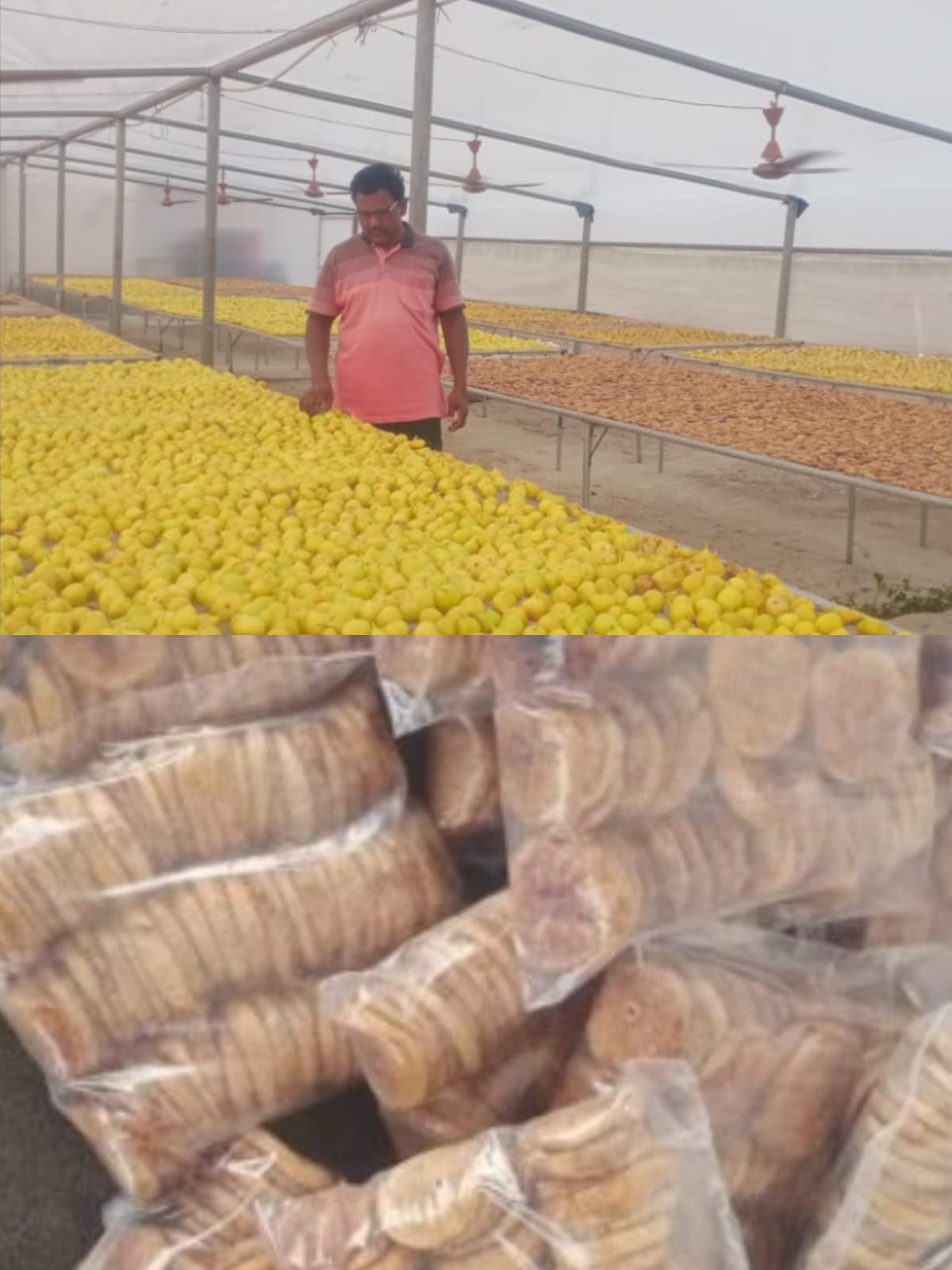 ORGANIC DRIED ANJEER