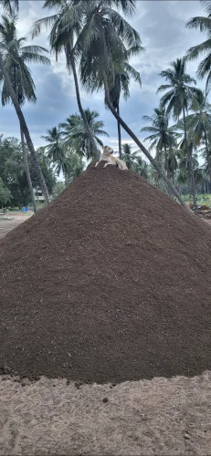 Organic potting soil
