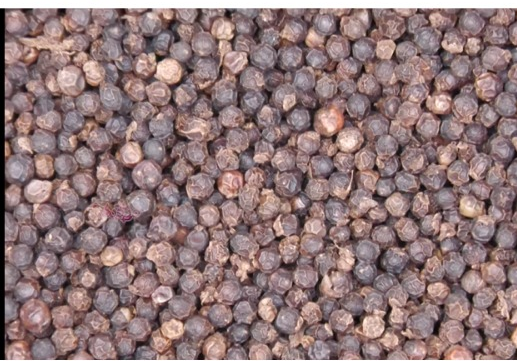 BLACK PEPPER