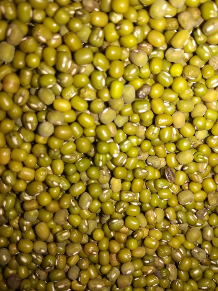 ORGANIC WHOLE MOONG (PESALU)