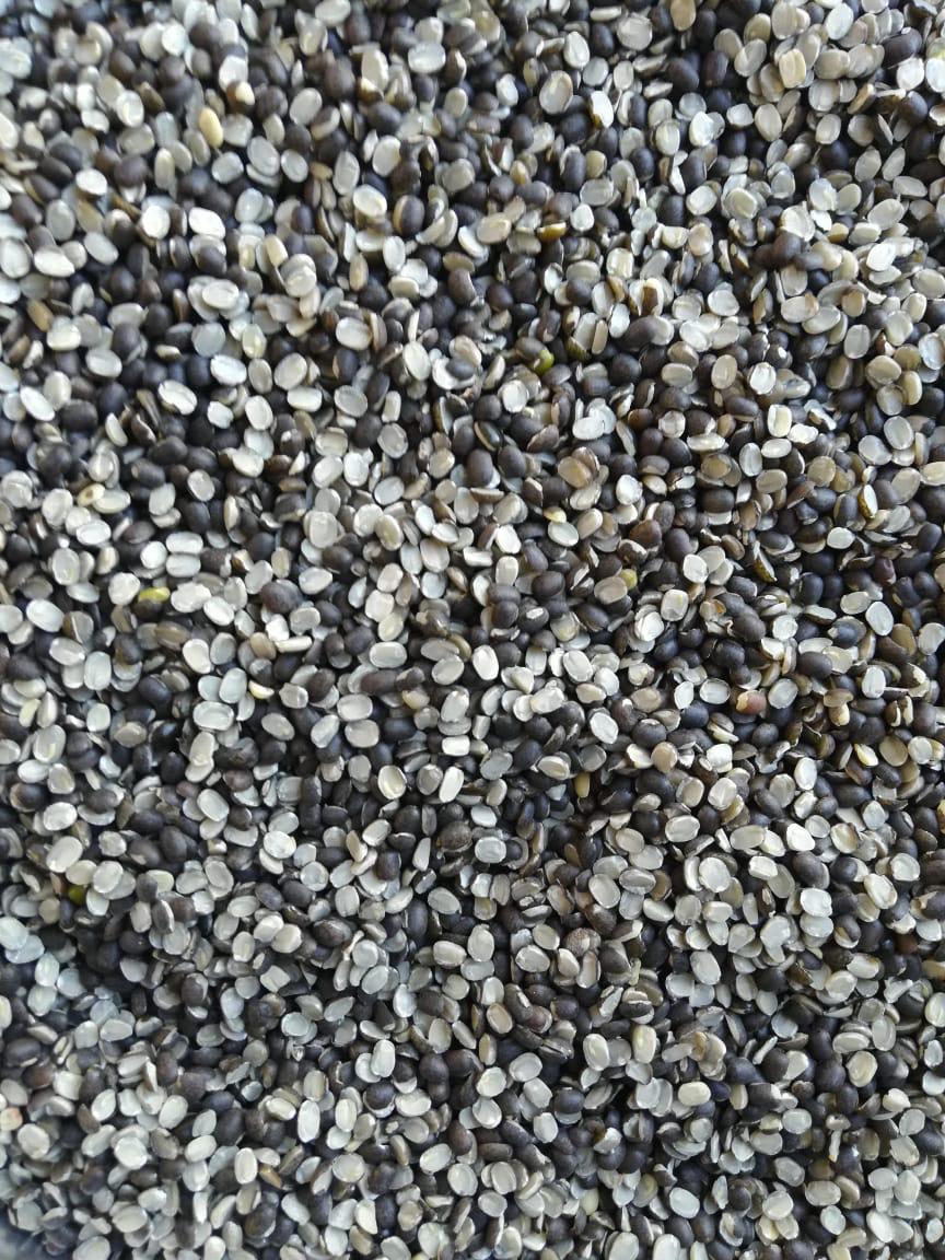 ORGANIC URAD SPLIT
