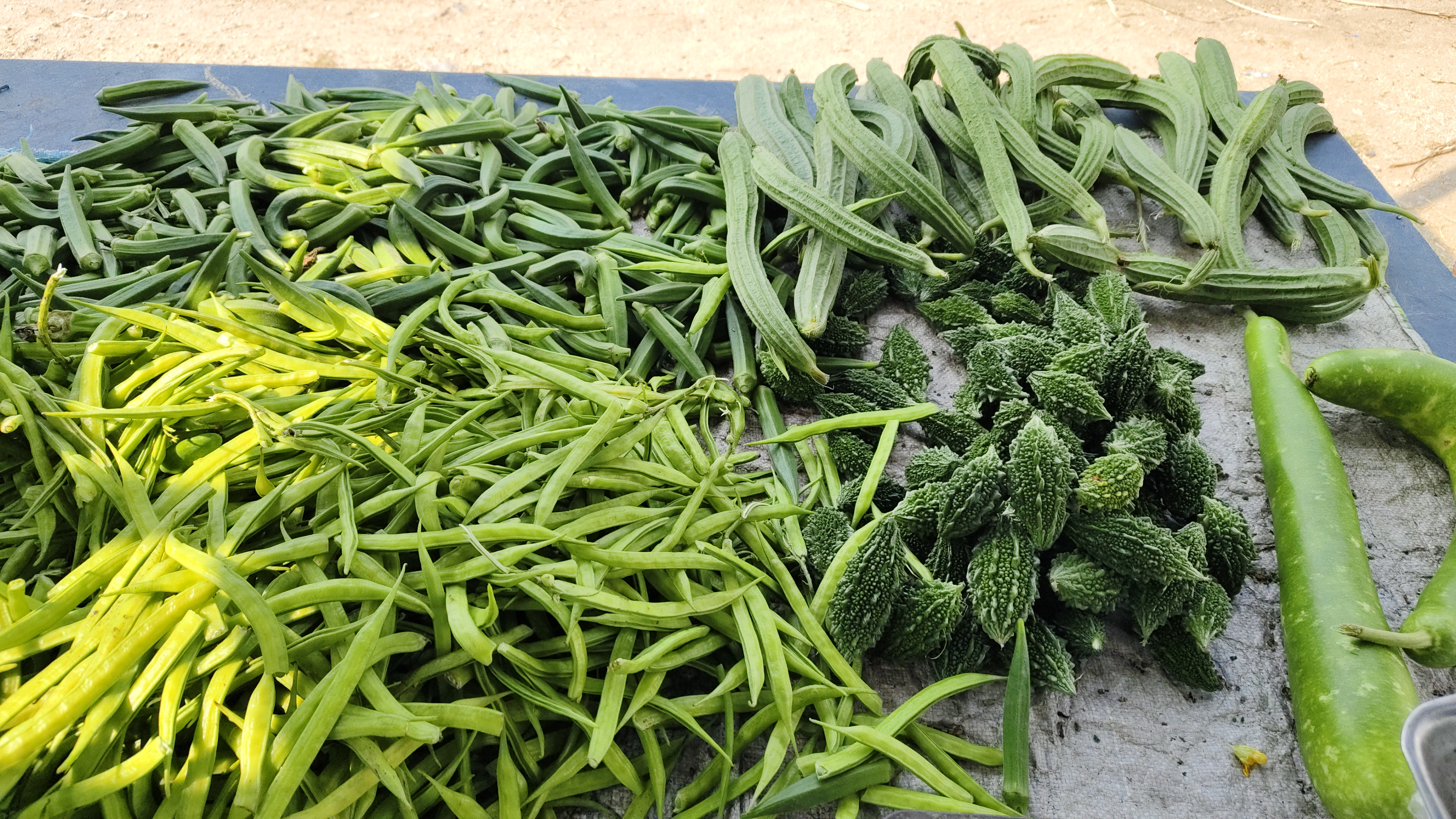 ORGANIC VEGETABLES