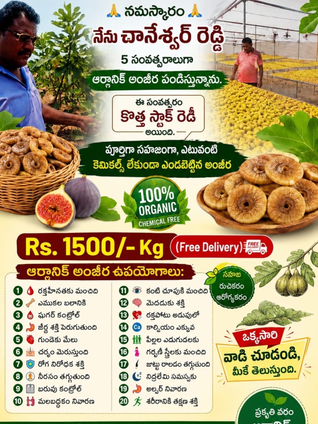 CHANESWAR REDDY PAVANI