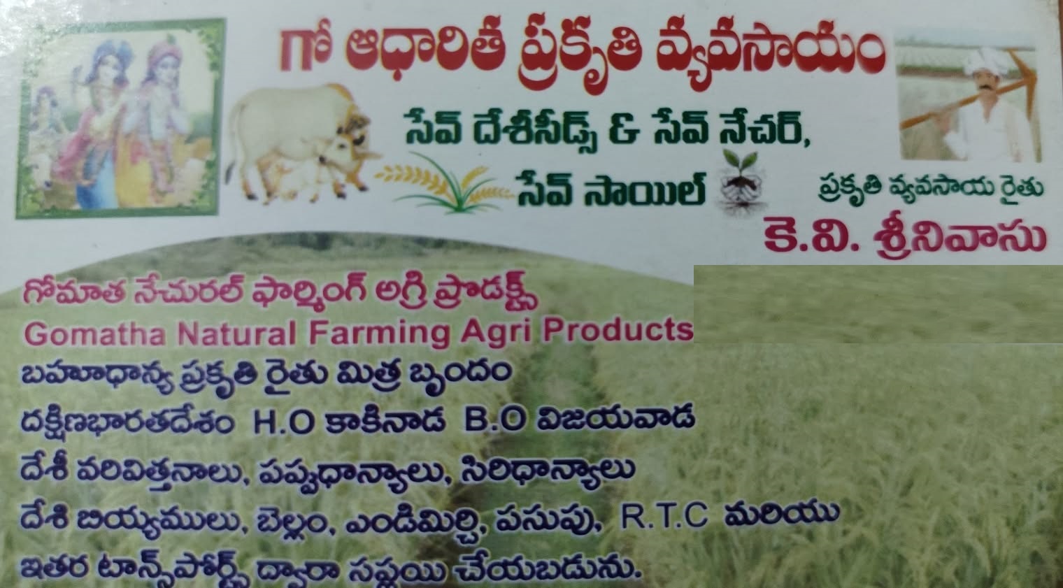 K V SRINIVAS
