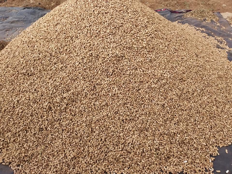 Farm photo
