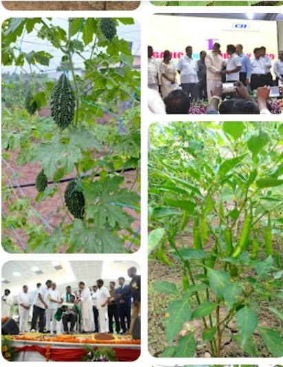 ASR NATURAL FARMS