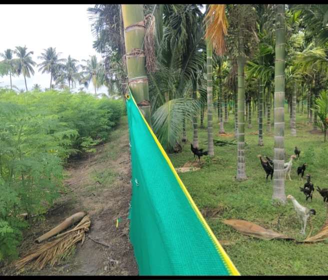 Farm photo