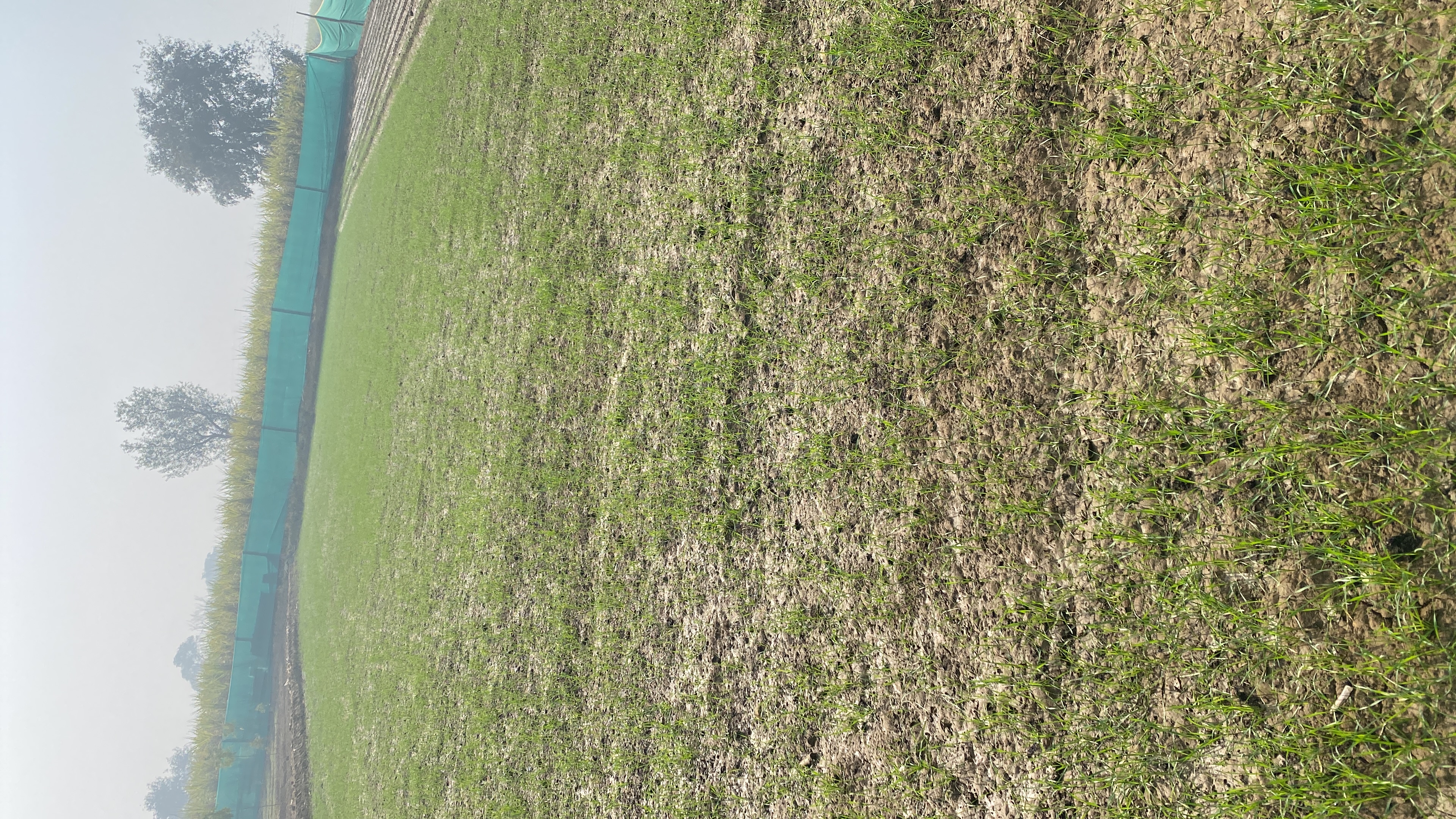 Farm photo