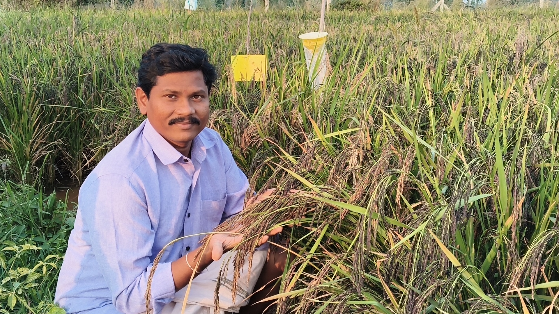 Budha farm