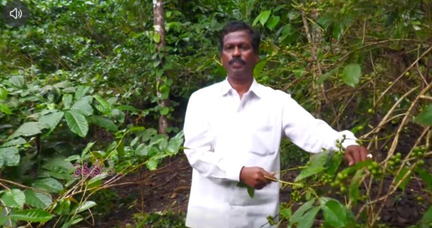 KUSALAVUDU