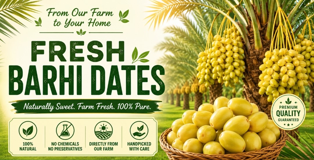 Telangana dates farm