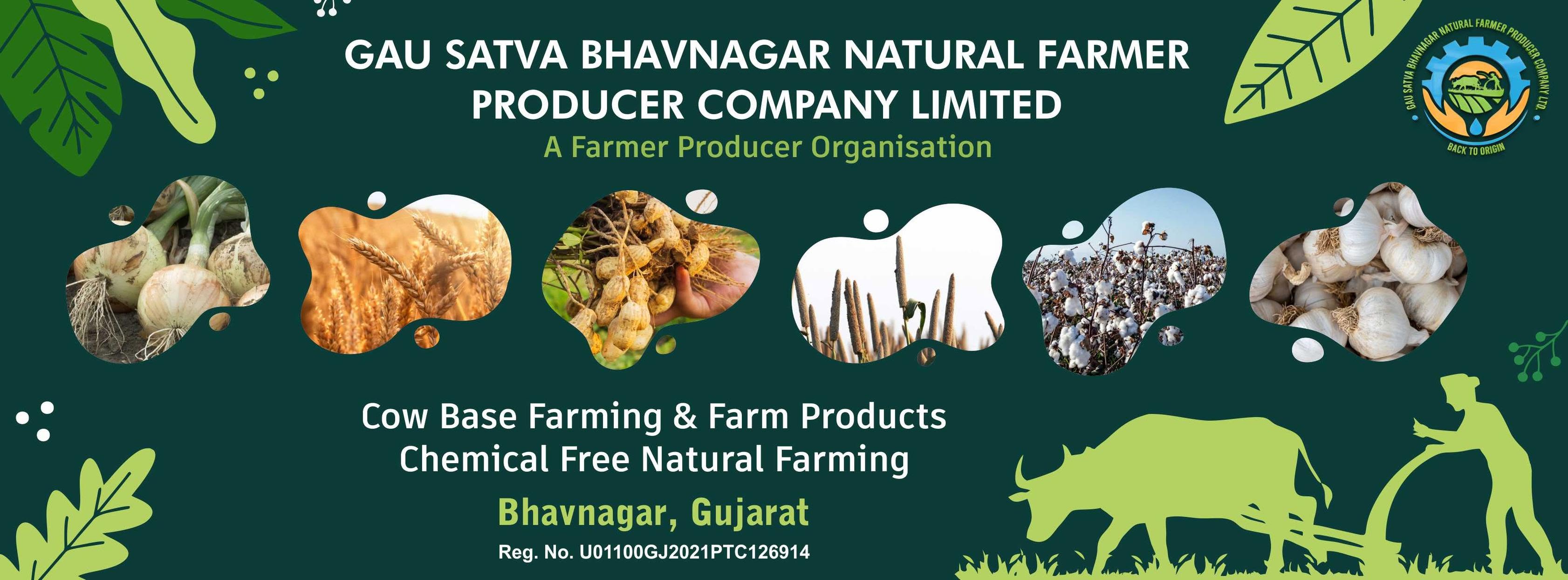 GAU SATVA BHAVNAGAR NATURAL FARMER PRODUCER CO. Ltd