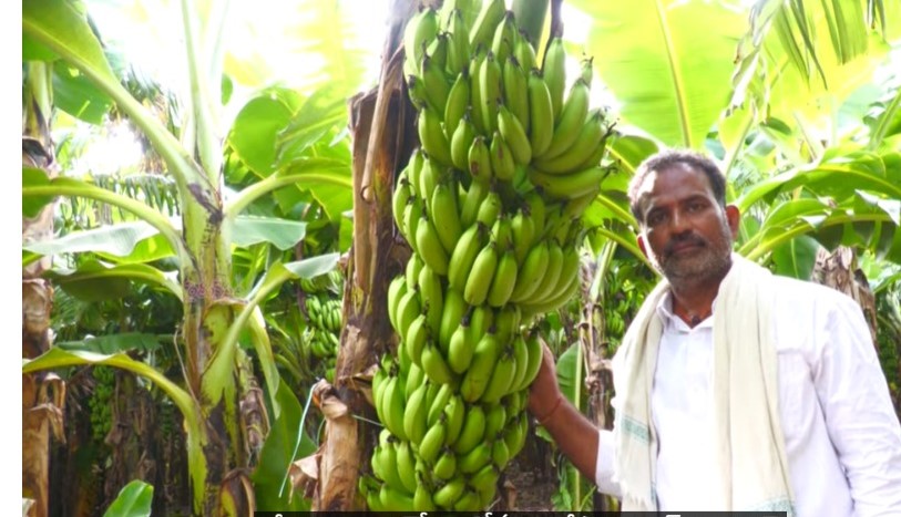 KRISHNA MOHAN REDDY